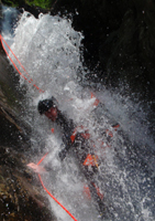 raffael.jpg - 32.46 kb