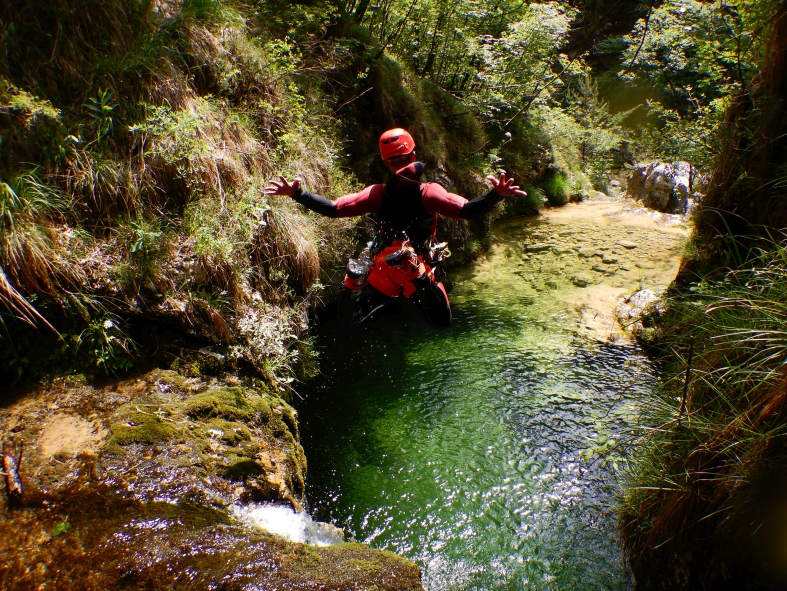 Leale.JPG - 516.62 kb