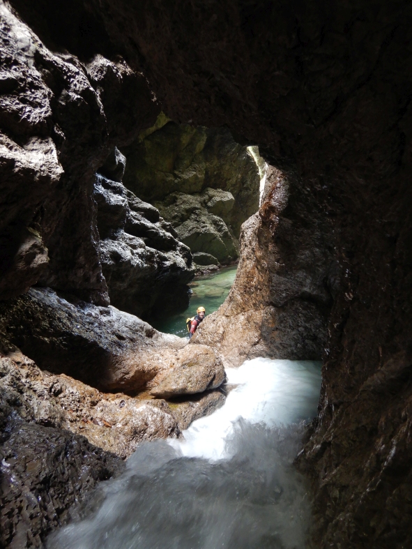 LealeDSCN6051.JPG - 340.83 kb