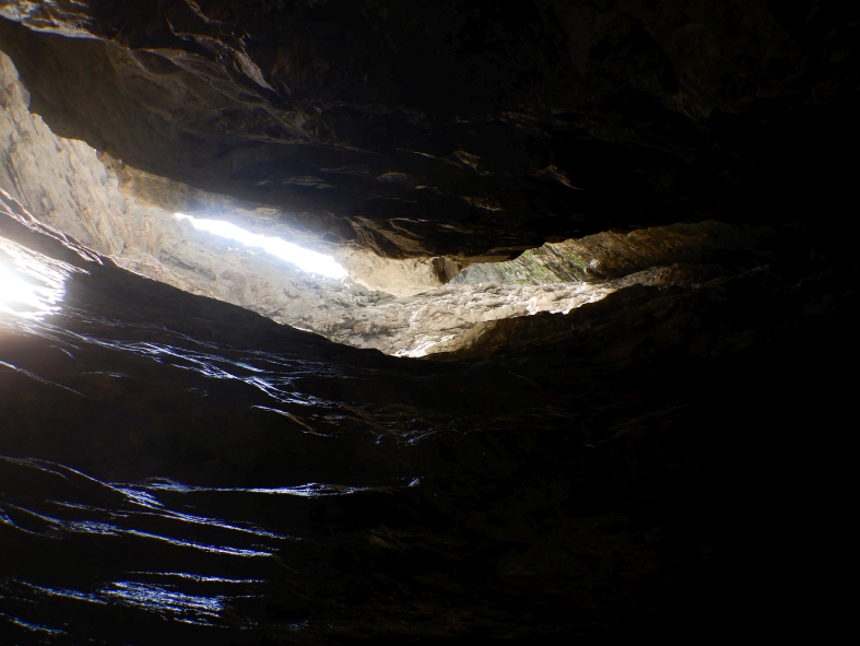 DSCN6224.JPG - 250.65 kb