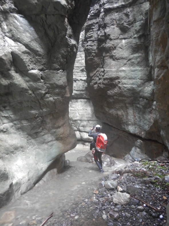 DSCN6434.JPG - 338.53 kb