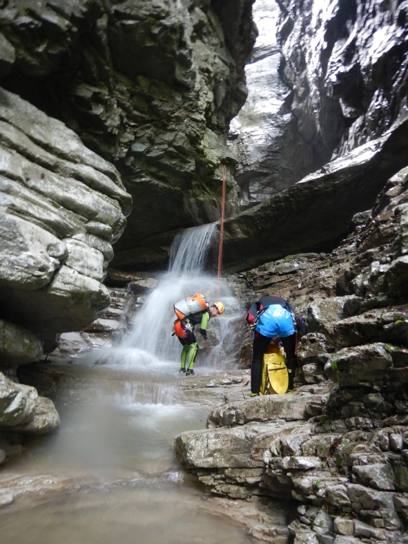 DSCN6436.JPG - 359.72 kb