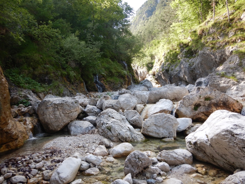 DSCN6611.JPG - 430.85 kb