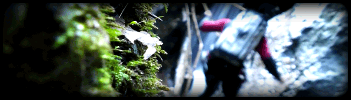 itemid154.gif - 68.12 kb