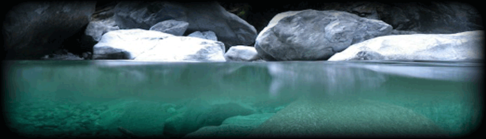 itemid157.gif - 63.56 kb