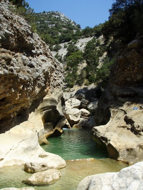 Oscurus de Balces1.JPG - 102.18 kb