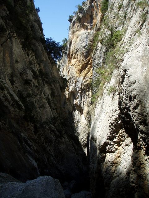 Oscurus de Balces3.JPG - 106.42 kb