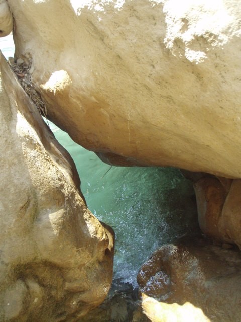 Oscurus de Balces9.JPG - 74.18 kb