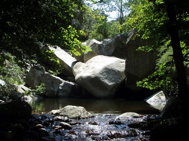 P8080048.JPG - 113.02 kb