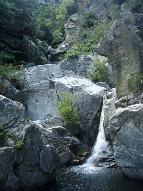 P8080058.JPG - 109.13 kb