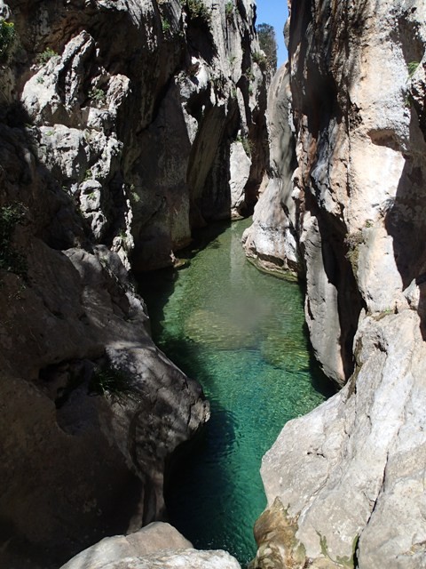 Mortix4.JPG - 108.52 kb