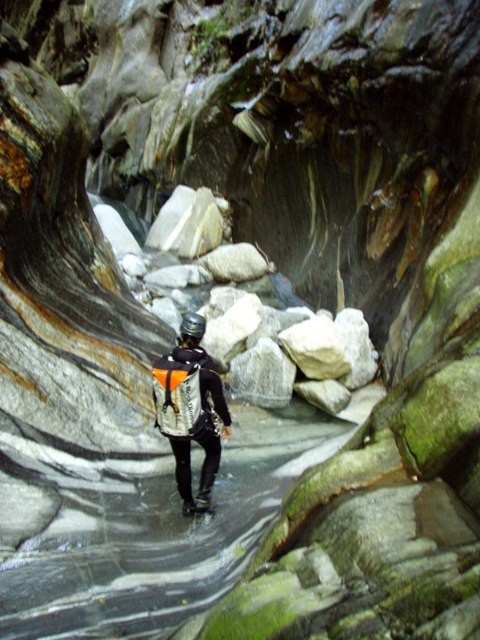 P8130356.JPG - 88.34 kb