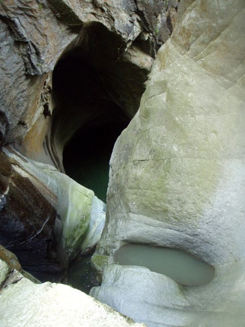 P8130442.JPG - 77.67 kb