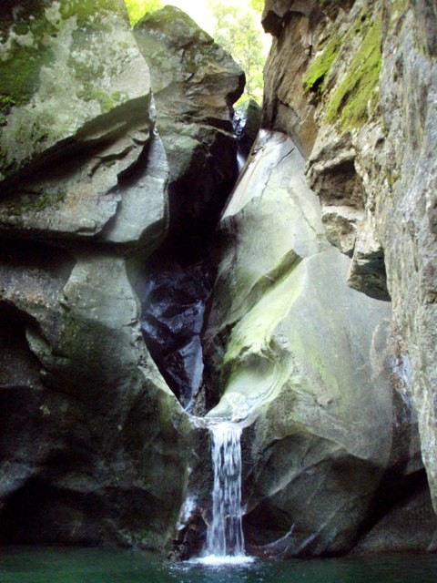 P8130464.JPG - 91.37 kb