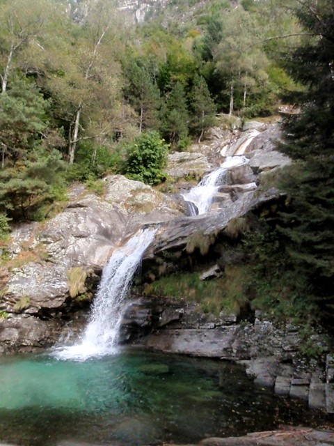 Broglio4.JPG - 105.54 kb