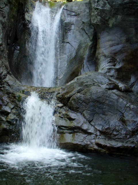 Cugnasco8.JPG - 91.87 kb