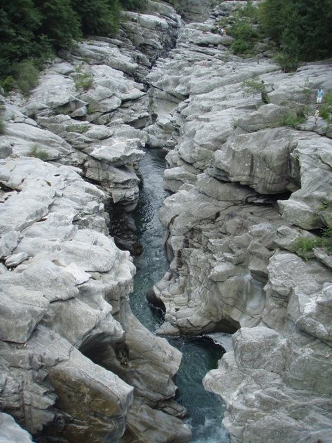 P8040002.JPG - 109.45 kb