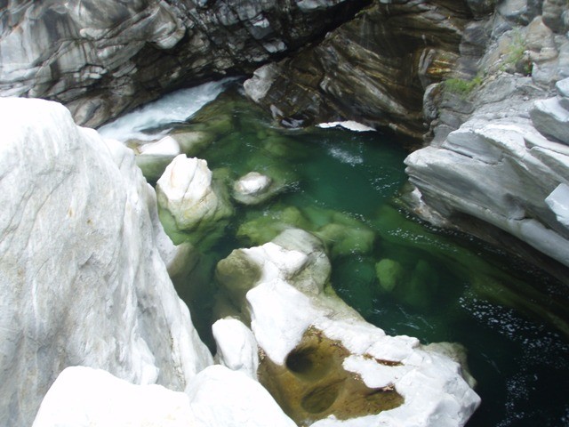 P8040038.JPG - 83.54 kb