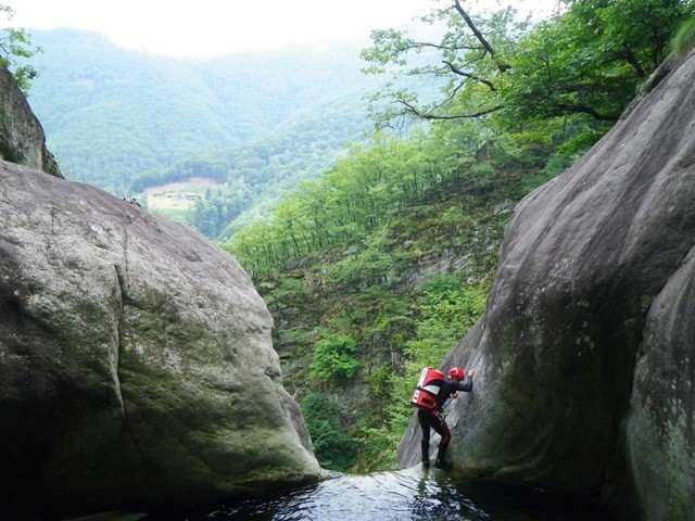 Loco4.JPG - 110.12 kb