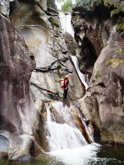 Loco8.JPG - 121.63 kb