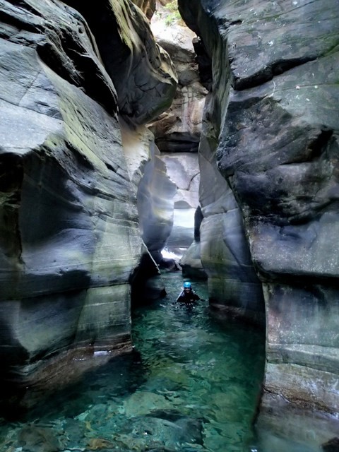 P8171041.JPG - 94.94 kb