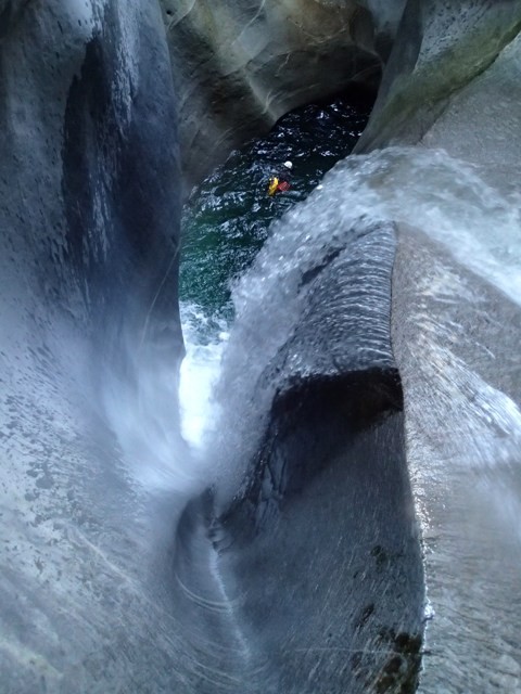 P8171065.JPG - 77.75 kb