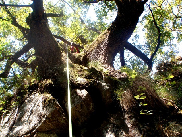 Val di Salto2.JPG - 155.43 kb