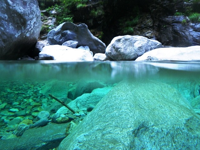 Moleno1.JPG - 95.54 kb