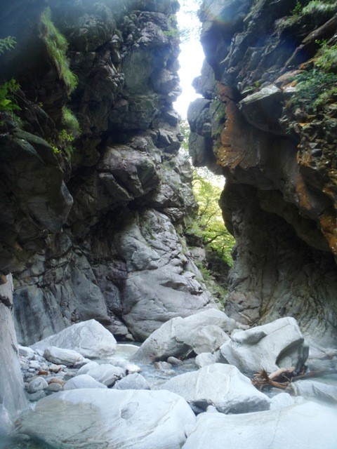 Moleno5.JPG - 98.07 kb