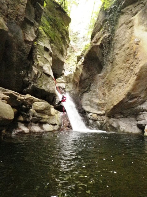 Orinoinf1.JPG - 100.11 kb