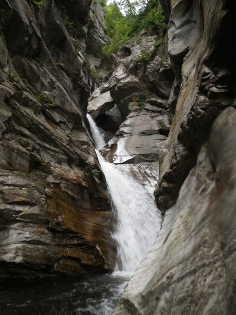 Orinoinf3.JPG - 88.81 kb