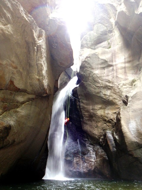 Orinoinf5.JPG - 80.67 kb