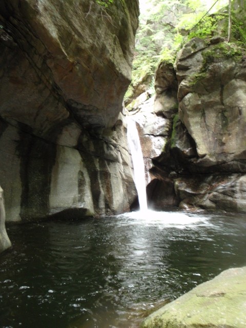 Orinoinf6.JPG - 85.67 kb