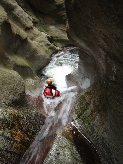 Orinoinf7.JPG - 89.97 kb