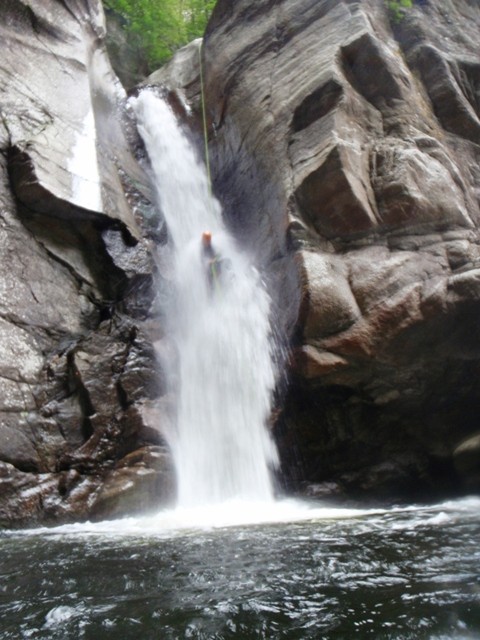 Orinoinf8.JPG - 86.15 kb