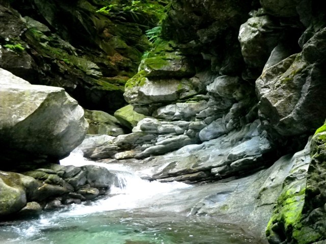 IMGP1412.JPG - 103.05 kb