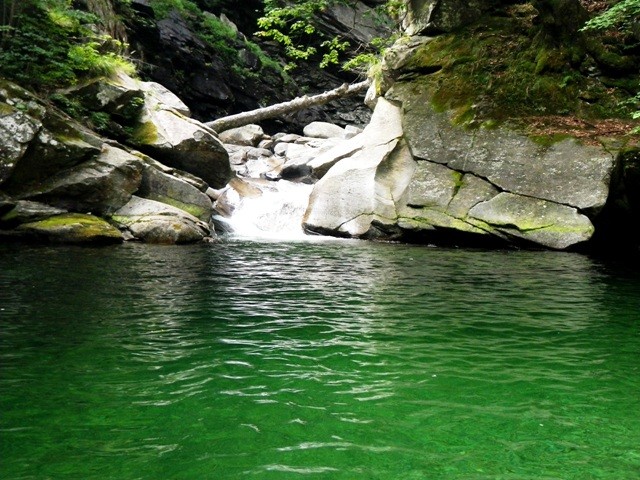 IMGP1418.JPG - 123.67 kb