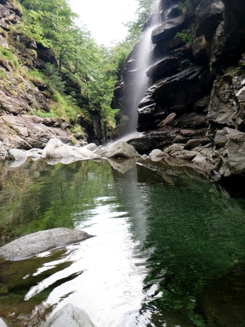 IMGP1446.JPG - 101.25 kb