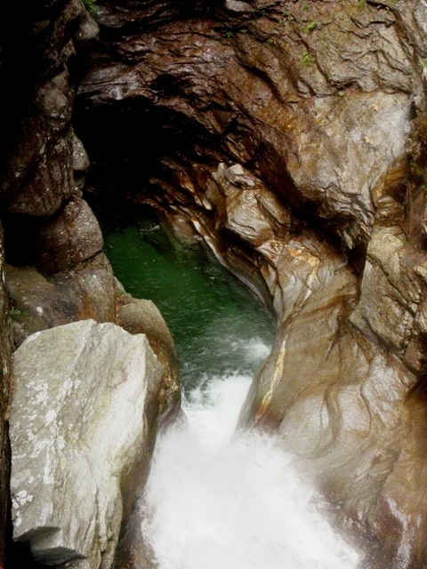 P8110029.JPG - 101.11 kb