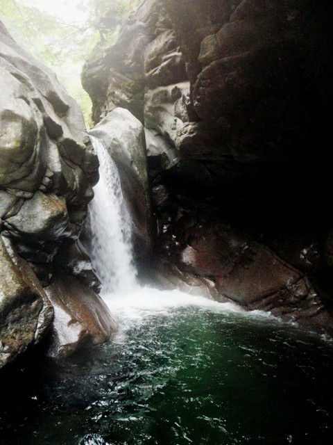 P8110075.JPG - 85.42 kb