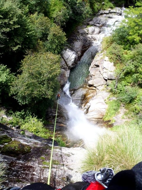 Froda6.JPG - 136.46 kb