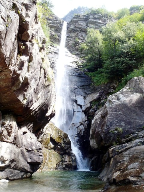 Froda7.JPG - 115.22 kb