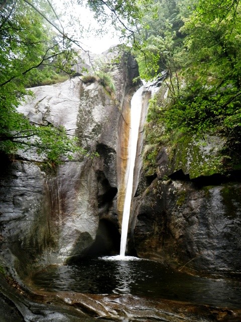 Censo1.JPG - 137.06 kb