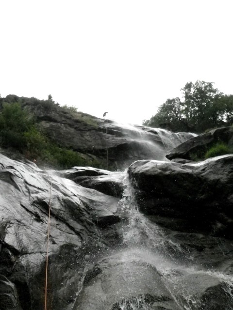 Censo2.JPG - 68.11 kb