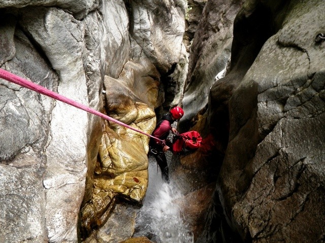 Censo3.JPG - 128.62 kb