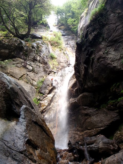 Censo5.JPG - 104.39 kb