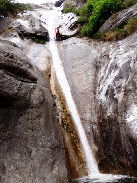 Censo8.JPG - 120.38 kb