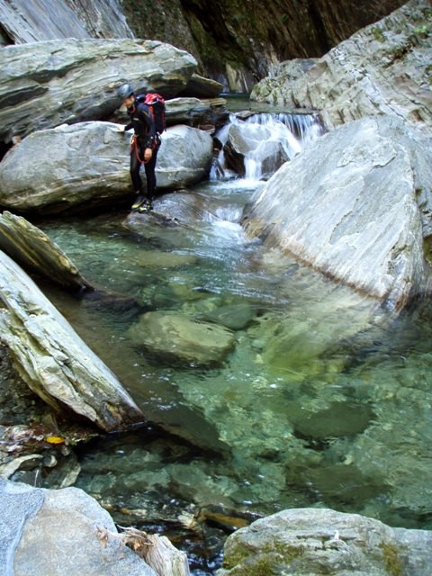 gei1.JPG - 107.82 kb