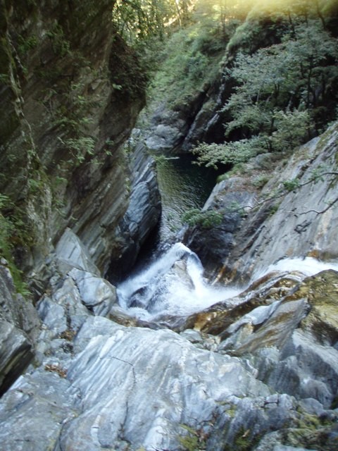 gei4.JPG - 101.35 kb