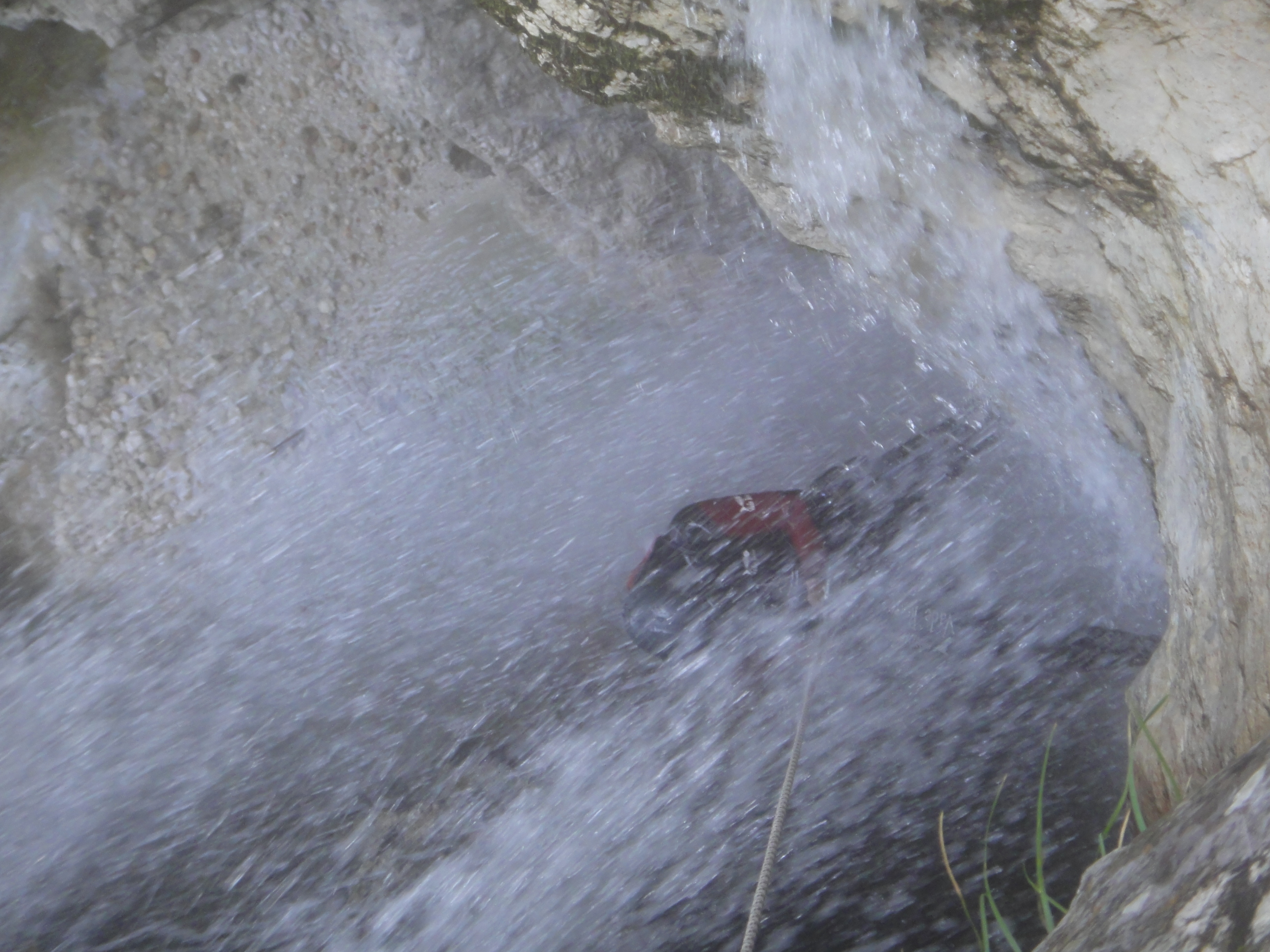 DSC09697.JPG - 2.49 MB